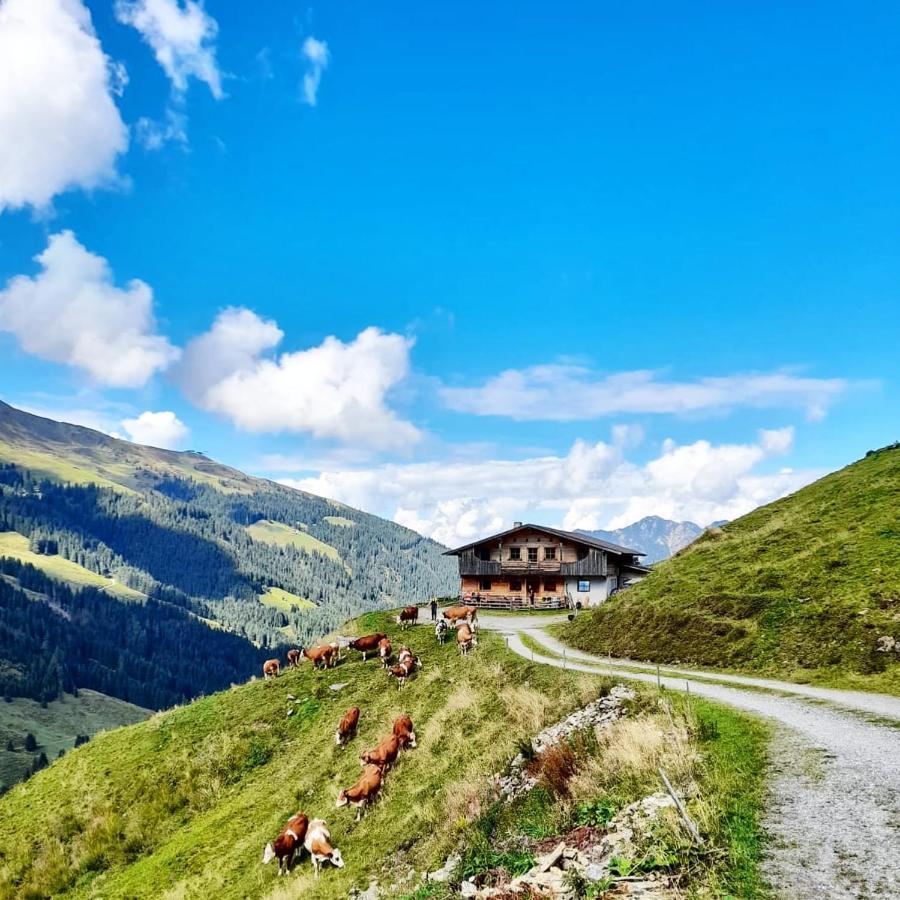 Ferienwohnungen Lehenhof Alpbach Exterior photo