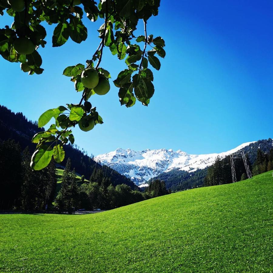 Ferienwohnungen Lehenhof Alpbach Exterior photo
